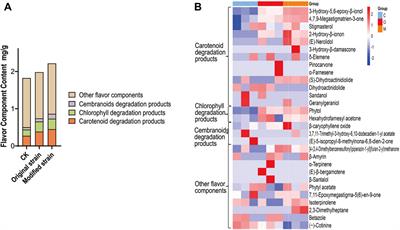 Introducing CCD1 into isolated Rhodotorula strain enhances flavor production and improves cigar fermentation